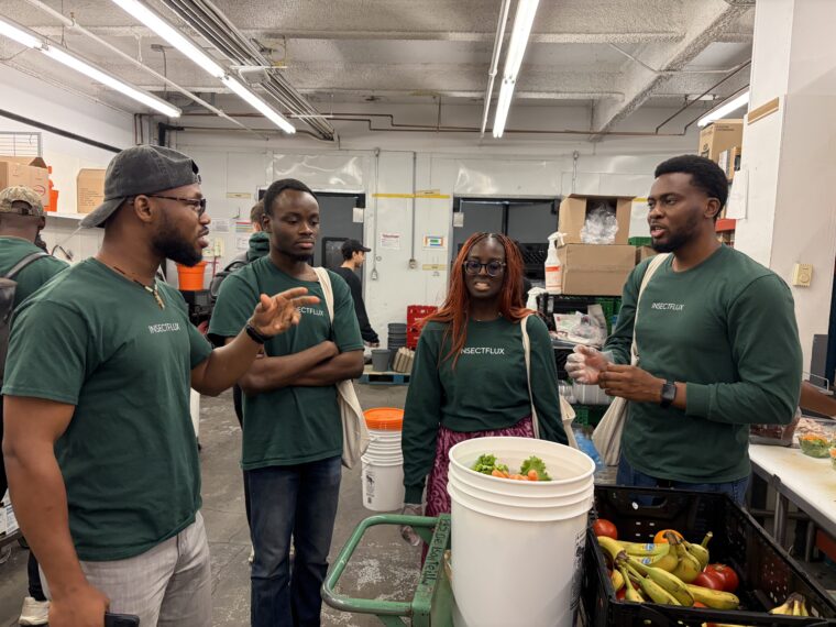 students from Ashesi in Ghana visit facilities partnering with Insectflux.